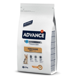 Affinity Advance-Yorkshire Terrier Adulte (1)