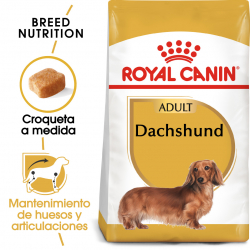 Royal Canin-Teckel Adulte (1)