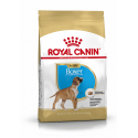 Royal Canin-Boxer Chiot (1)