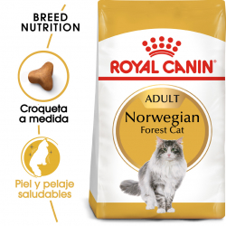 Royal Canin-Croquettes Norwegian Forest Adulte (1)