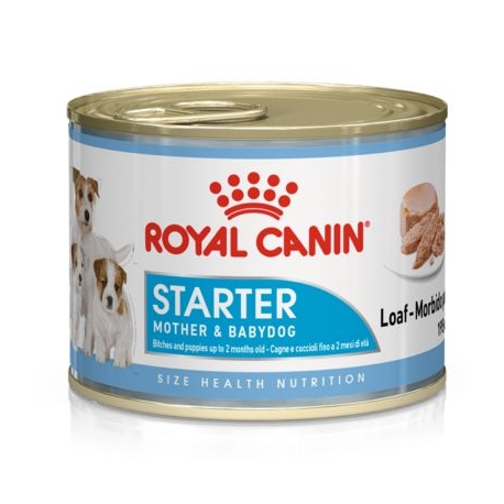 Royal Canin-Starter Mousse Gestation/allaitement (1)