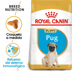 Royal Canin-Croquettes Carlin Chiot (1)