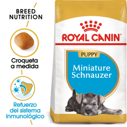 Royal Canin-Schnauzer Miniature Chiot (1)