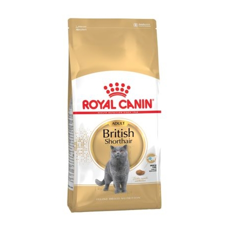 Royal Canin-British Shorthair Adulte (1)