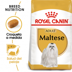 Royal Canin-Bichon Maltais Adulte (1)