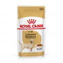 Royal Canin Labrador Retriever Comida húmeda