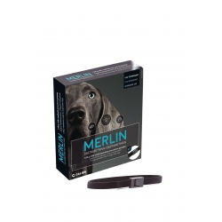 Merlin Collier antiparasitaire pour chien