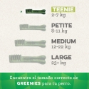 Greenies Grain Free Snack Dental Teenie Para Perros 170 g
