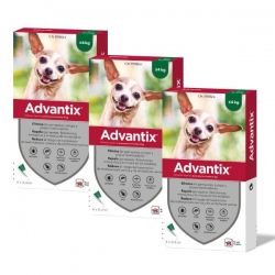 Advantix Pack 3 unità (12 pipette) per cani di taglia mini (0-4KG)