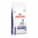 Royal Canin Veterinary Diets-Veterinary Dental DLK 22 (1)
