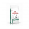 Royal Canin Veterinary Diets-Croquettes Diabetic Canine (1)