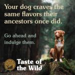 Taste of the Wild Pacific Stream comida húmeda para perros (Latas)