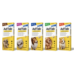 Antiparasitario masticable AdTab para perro 1 comprimido
