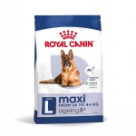 Royal Canin-Maxi Vieillissement +8 Ans Grandes Races (1)