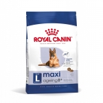 Royal Canin-Maxi Vieillissement +8 Ans Grandes Races (1)