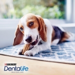 Purina Pro Plan Snack Dentalife para Perros Small