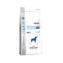 Royal Canin Veterinary Diets-Soutien Mobilité C2P (1)